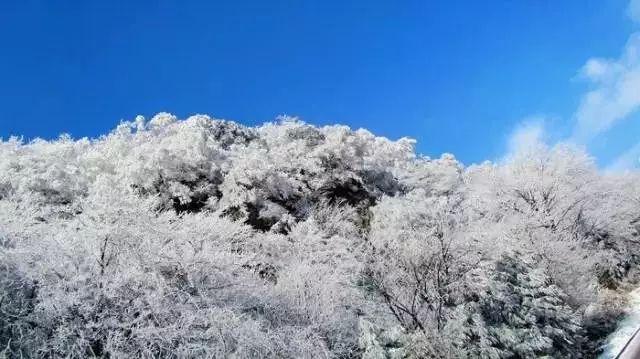 探索为何女人总是喜欢大叔？的全新红迪网平台