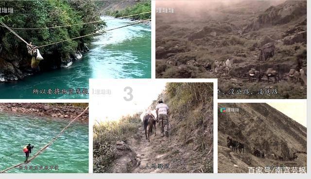 董事长刚走山东男篮就爆发,山东高速应吸取教训,专业管理是王道